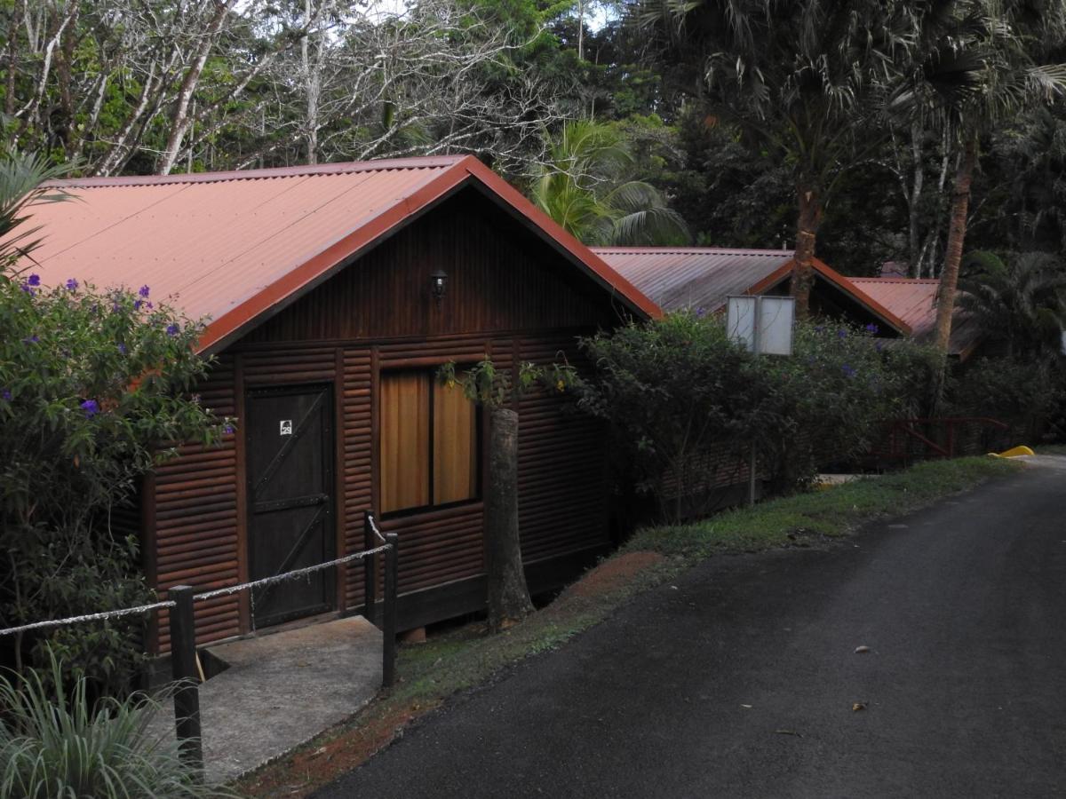 Hotel Pedacito De Cielo Boca Tapada Exteriör bild